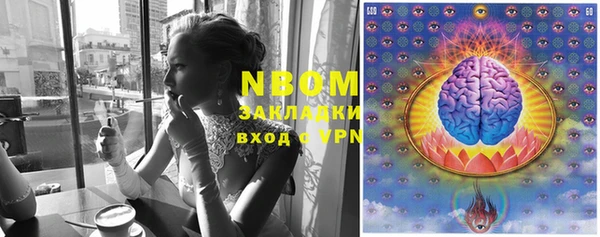 бошки Аркадак