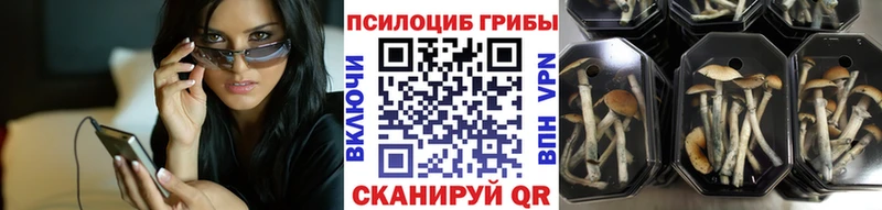 даркнет сайт  сайты даркнета состав  Псилоцибиновые грибы Psilocybe  Белая Холуница 